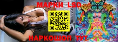 стафф Белореченск