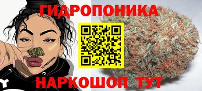 стафф Белореченск