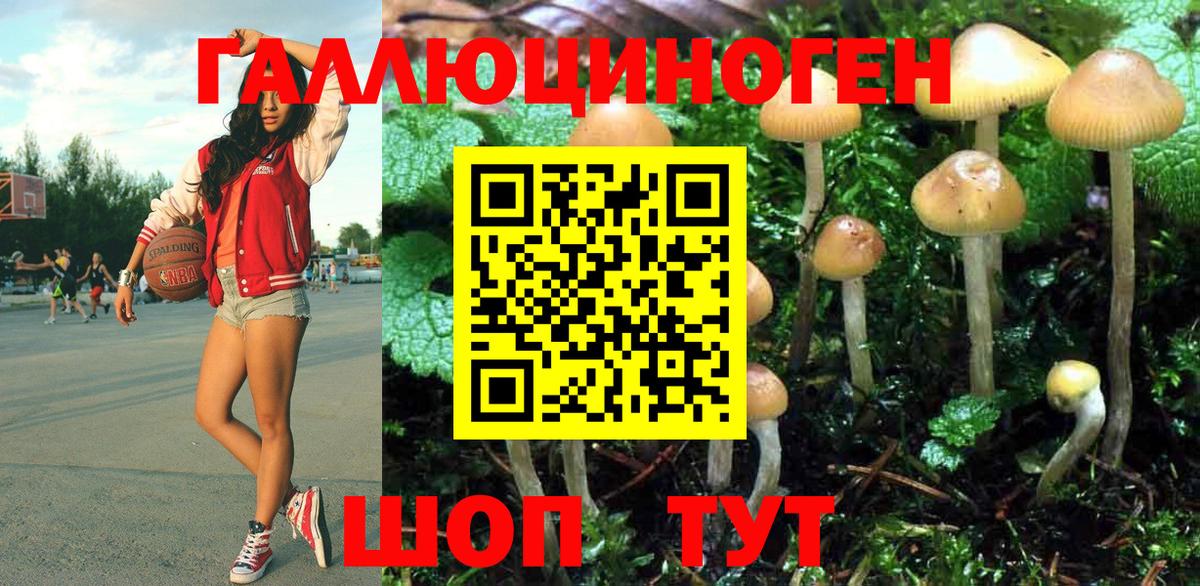 Псилоцибиновые грибы GOLDEN TEACHER Ноябрьск