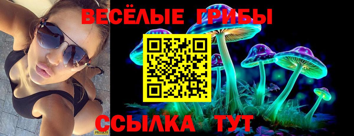 Ноябрьск  Псилоцибиновые грибы Psilocybine cubensis  Вход с VPN  Галлюциногенные грибы ЛСД 