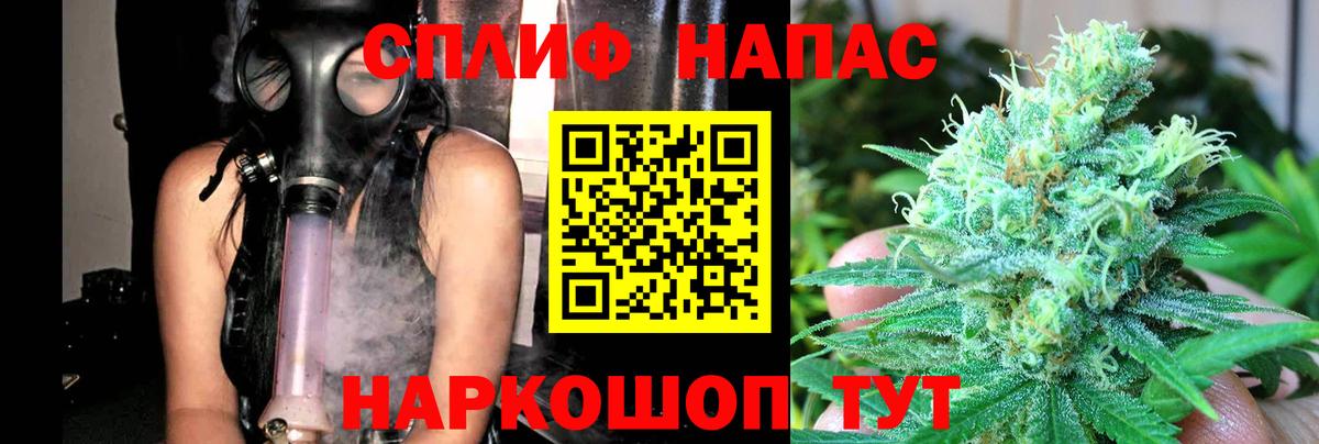 Каннабис White Widow  Бошки марихуана THC 21%  Вход с VPN  Ноябрьск  Бошки марихуана планчик  Марихуана Bruce Banner 